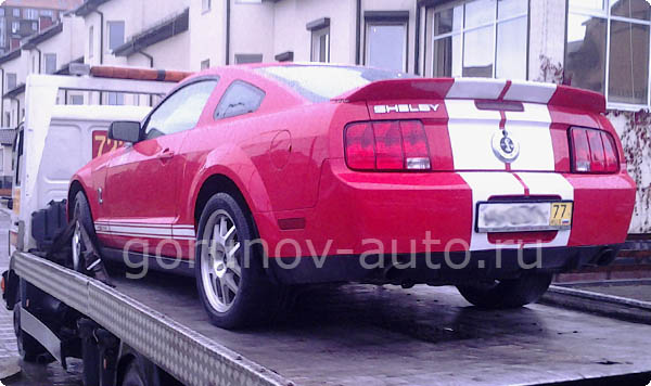Перевозка Shelby Mustang GT500 на эвакуаторе Горюнов-Авто - фото №1